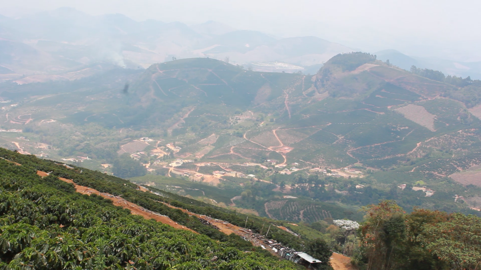 Siritinga