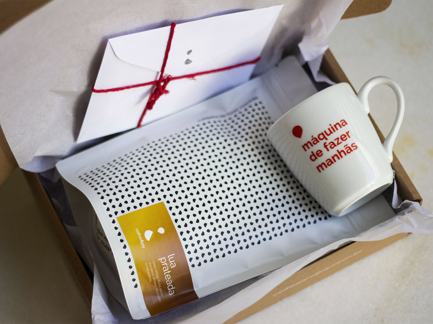 Coffeeandjoy kit lua prateada com caneca